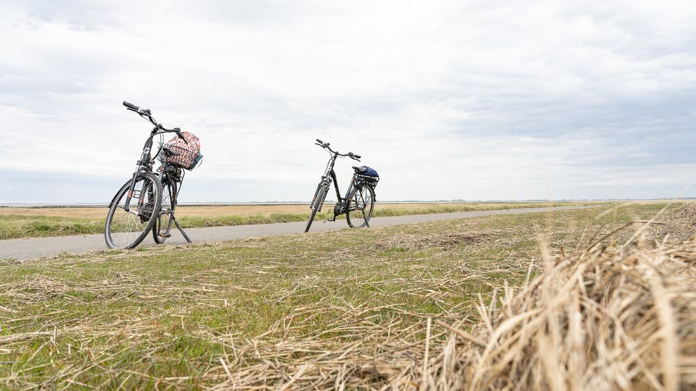 Büsum, Nordsee - Radfahren Deich