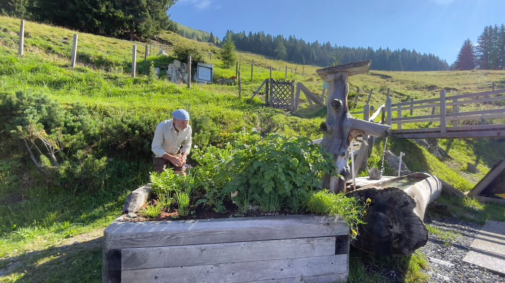 Bad Dorfgastein, Salzburg - Steiner Hochalm_Hans Naglmayr