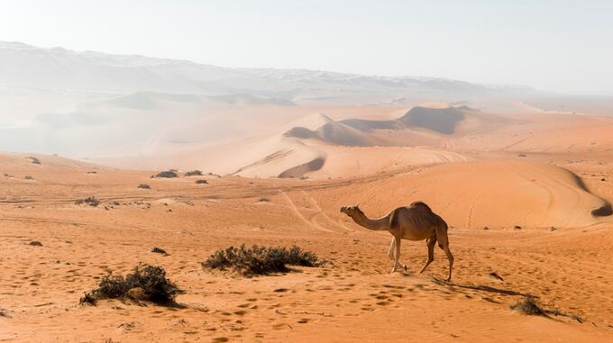 5 Gründe für eine Reise in den Oman