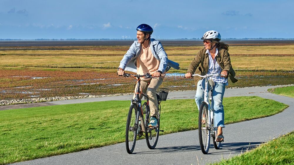 Dithmarschen, Nordsee - Radfahren am Deich