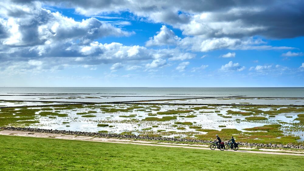 Dithmarschen, Nordsee - Radfahren mit Meerblick