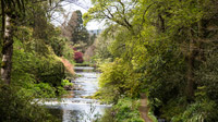 © Anita Arneitz & Matthias Eichinger / Mount Usher Gardens, Nordirland_6 / Zum Vergrößern auf das Bild klicken