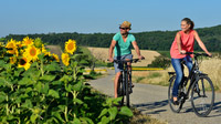 © steve.haider.com / Radfahrer am Neusiedler See / Zum Vergrößern auf das Bild klicken